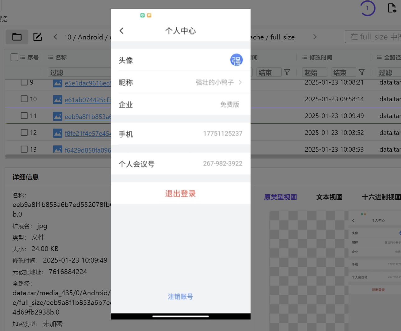 正文图片